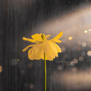 演一个潘金莲三级红色毛片
